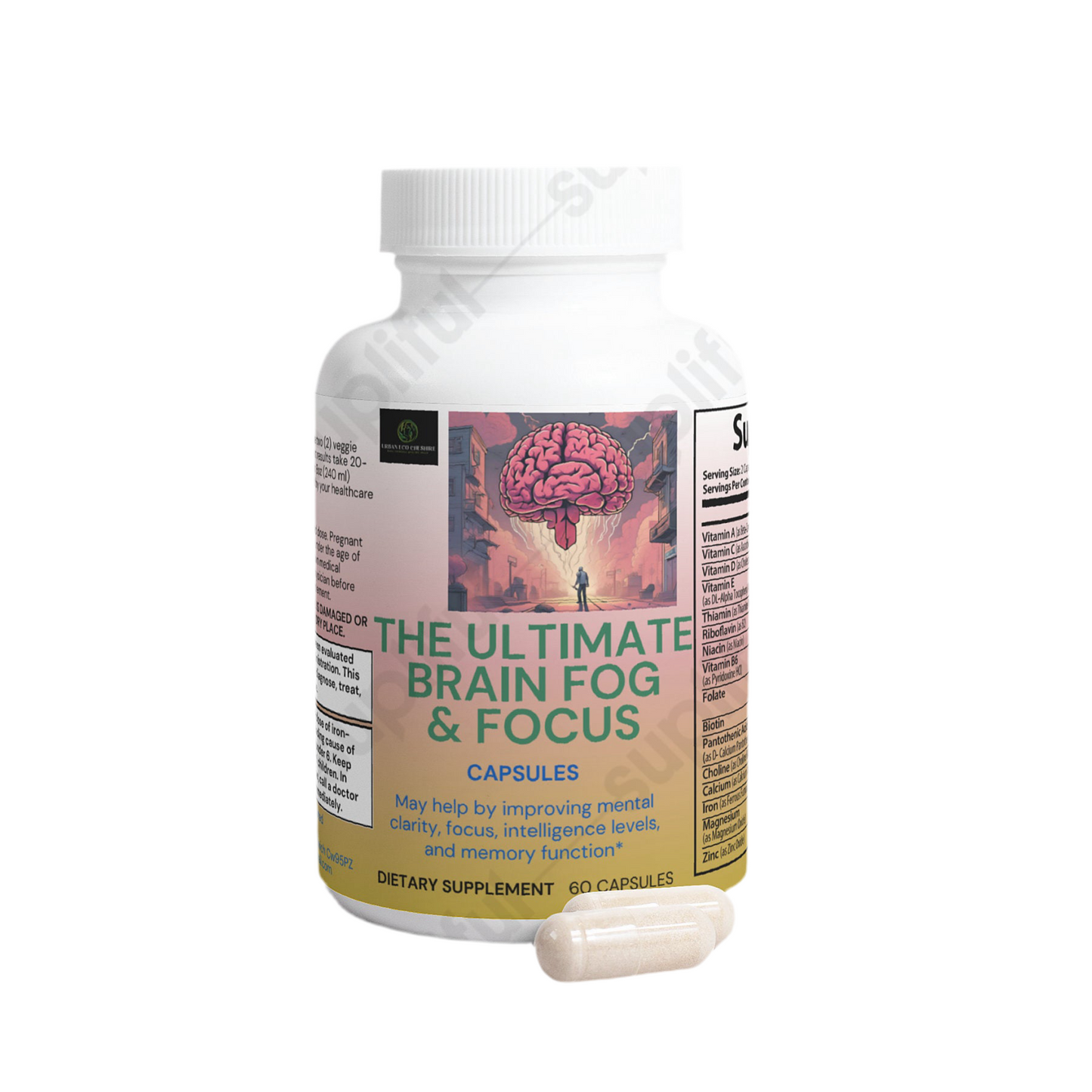 Brain & Focus Formula